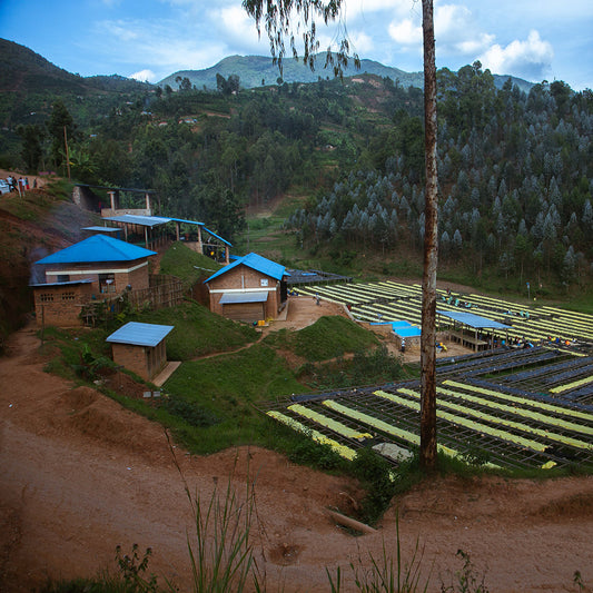 Ruanda - Baho Anaerobic